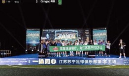 江苏苏宁最新爆料,揭秘球队备战新赛季的神秘计划